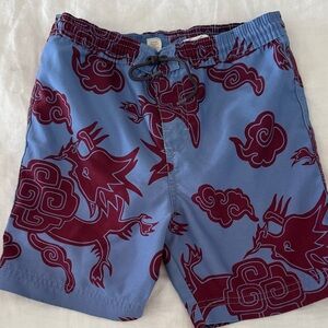 Tea Collection Blue and Maroon Dragon Print Swim Trunks
